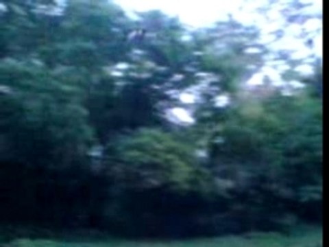 helico swiss lama d enfer!!