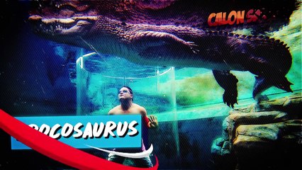 10 Kolam Berenang Paling Gokil Dan Sadis Wajib Diliat Ada