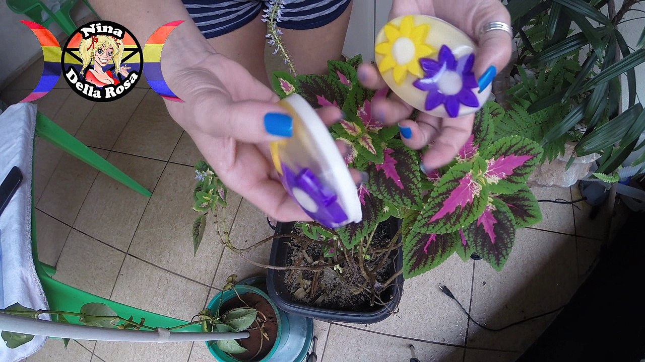COMO FAZER SABONETE COM FLORES DENTRO BY NINA DELLA ROSA