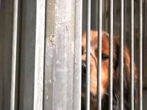 Spot pour la promotion des Journées Portes Ouvertes