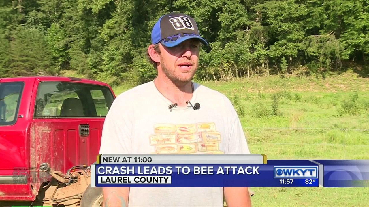 Crash leads to bee attack