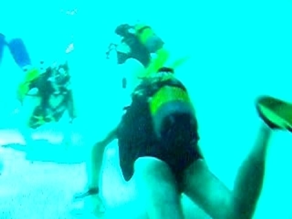 Oliouchka et Frenchie