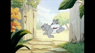 Tom And Jerry, 15 E- The Bodyguard (1944)