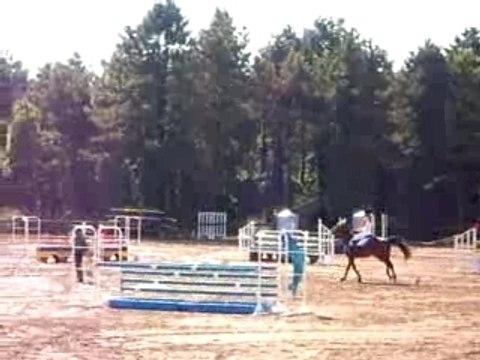 Concours CSO 105 Cercle Hippique Dijonnais Vec Loulou'