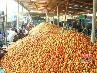 ভালো ফলনেও চাষির কপালে দুশ্চিন্তার ভাঁজ