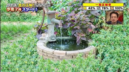 チャンネルΣ・クイズ 金の正解 銀の正解 今夜7時スタート 20170422