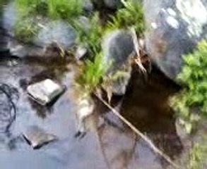 create your future, change your life with mind power