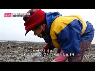 굽어진 허리, 50년 동안 굴을 캐며 산 엄마 [엄마의 봄날] 72회 20170115