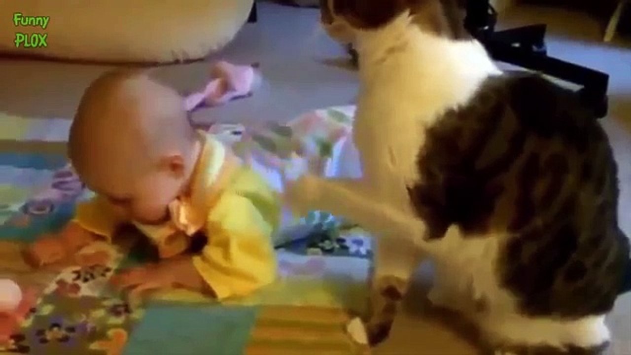 Cute Cats and Dogs Love Babies Compilation