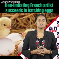 Hen-imitating French artist succeeds in hatching eggs #AnnNewsWorld