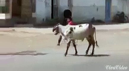 very very funny must watch 12