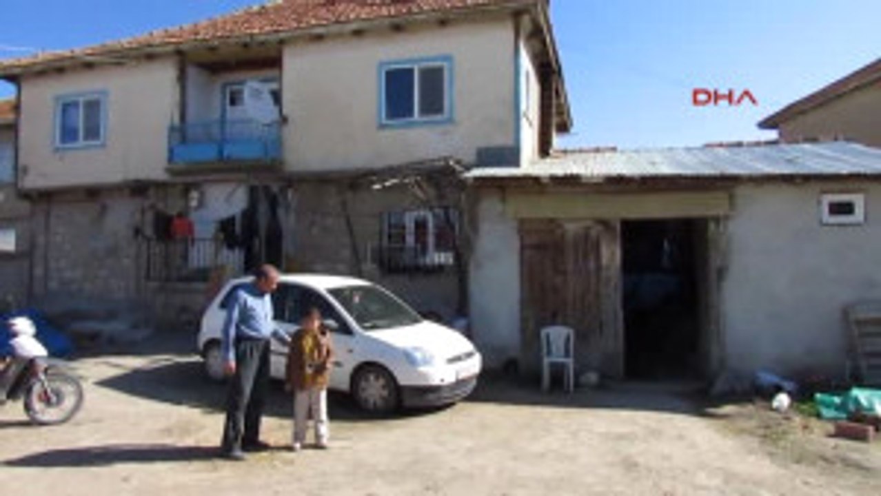 Afyonkarahisar Kediyle Köpeğin Dostluğu Şaşırtıyor