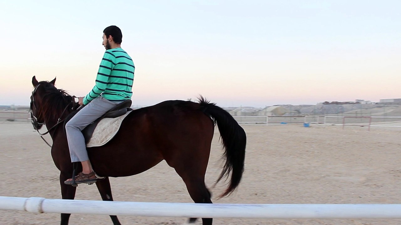 Riding a Horse - Fahad Aziz Niazi