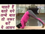 Yoga for healthy hairs, Ardha Sirsasana, अर्ध शीर्षासन | चाहते हैं काले घने लम्बे बाल तो करें ये आसन