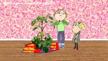 Charlie and Lola - S2E10. I Really Wonder What Plant I'm Growing