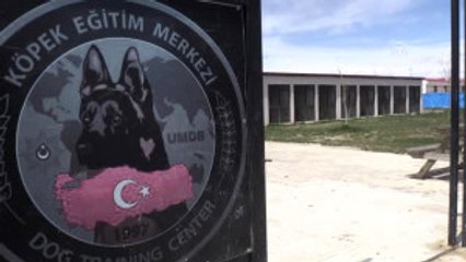 Hassas Burunlar" Uyuşturucuya Geçit Vermiyor - Van