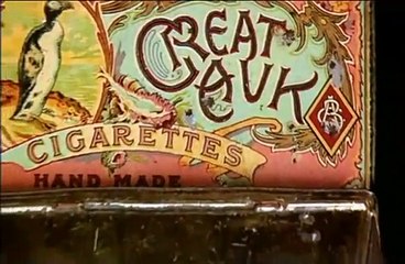 Extinct - The Great Auk