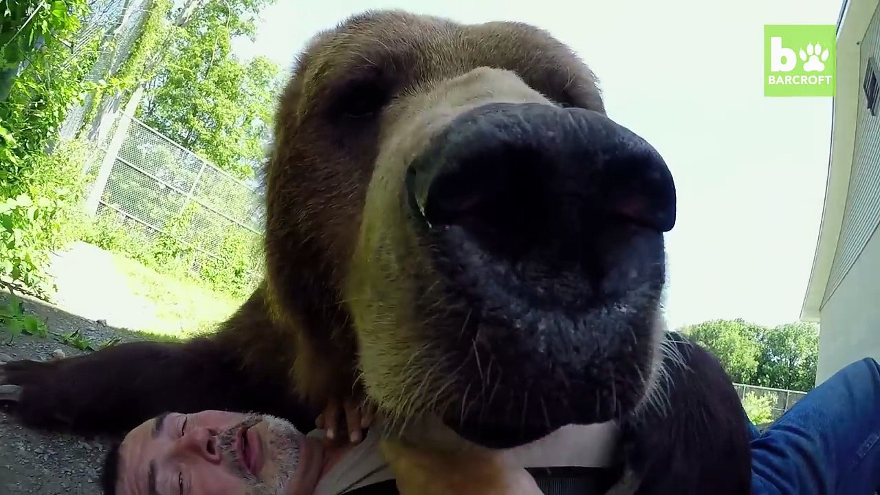 Our Big Bear Family: BEAST BUDDIES