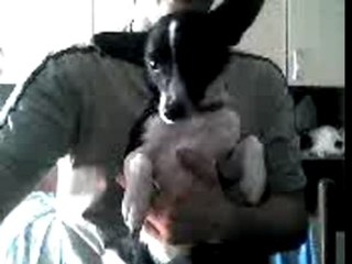 Eddi che balla la canzone di Rocky BalboaV07-02-07_16.57