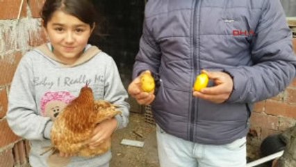 Sivas Patatese Benzeyen Yumurta Şaşırttı
