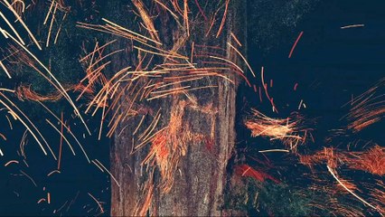 Tribeca Film Festival highlights new technologies