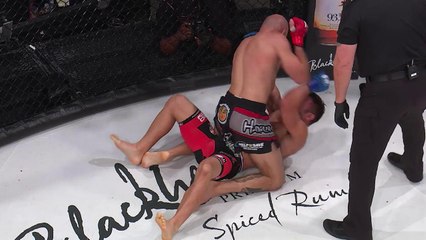 Bellator 178 video highlights