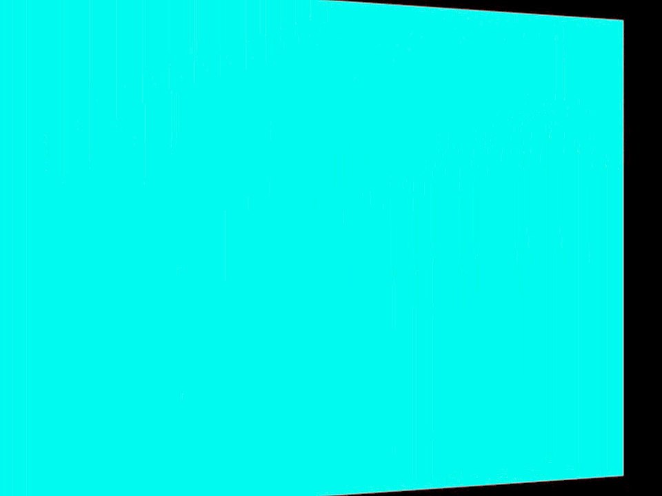 Haïko se roule dans l'herbe