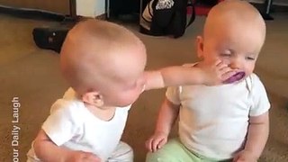 Cute babies fight