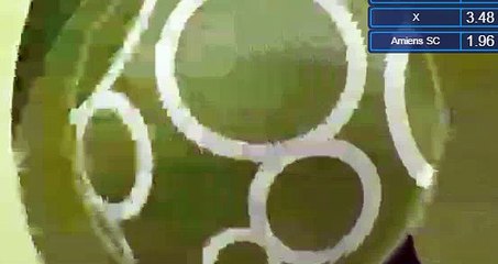 Zakaria Diallo Gaol HD - Stade Brest 0-1 Amiens 22.04.2017