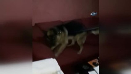 Çorum'daki Uyuşturucu Operasyonunda Adliyeye Sevk Edilen 20 Zanlıdan 11'i Tutuklandı