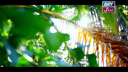 Dil-e-Barbad Episode 60 - on ARY Zindagi in High Quality - 22nd April 2017