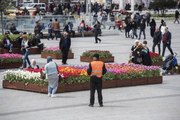 Taksim Meydanı'na Getirilen Lalelere Yoğun Güvenlik Önlemi