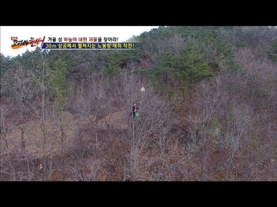 30m상공에서 말벌집을 채취하다! [뉴 코리아 헌터] 32회 20170109