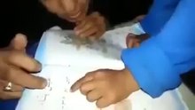 الزينه-9