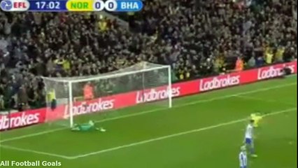 David Stockdale two own goals - Norwich City vs Brighton 2-0