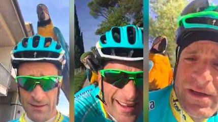 Le cycliste italien Michele Scarponi avait l'habitude de s'entraîner... avec un oiseau