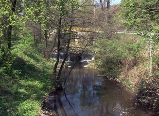 Danas je Dan planete zemlje, 22. april 2017. (RTV Bor)