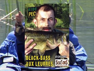 Black-bass aux leurres