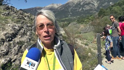 Hautes-Alpes : les marmottes pointent le bout de leur nez à Eygliers pour le comptage de printemps