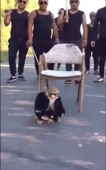 Monke