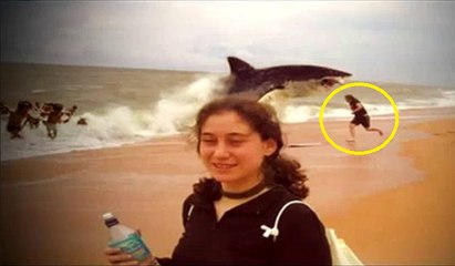 Shark eats alive man on the shore -- Shocking Video