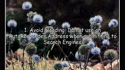 AutoResponders: Excuse Me....Courtesy Please!