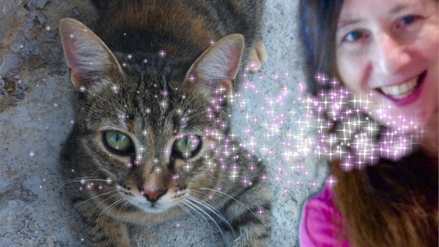 Vos Animaux Vous Parlent dans Vos Rêves