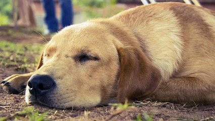 YN 오피쓰 아산오피 아산건마 아산휴게텔 아산키스방 아산마사지
