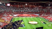 Super Dragões - SL Benfica 1-1 FC Porto - Momentos iniciais