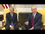 USA - L'incontro del Presidente Gentiloni con il Presidente Trump alla Casa Bianca (20.04.17)