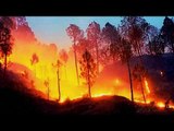 Forest fire near Mata Vaishno Devi, Air Force helping in dousing fire| Oneindia News