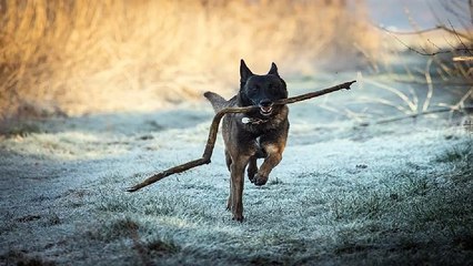 AI 오피쓰 구월오피 구월건마 구월휴게텔 구월키스방 구월마사지