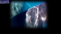 Caught on Tape 2017 - Megalodon Shark, Up Close Alien Sightings, Real Mermaid Fo
