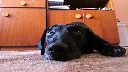 MS 오피쓰 진주오피 진주건마 진주휴게텔 진주키스방 진주마사지